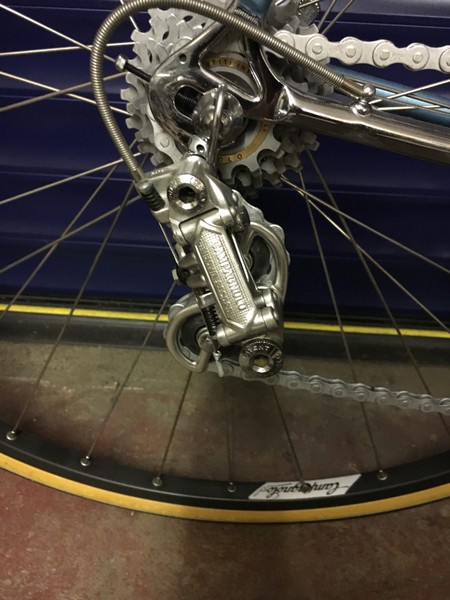 Olmo detail 3