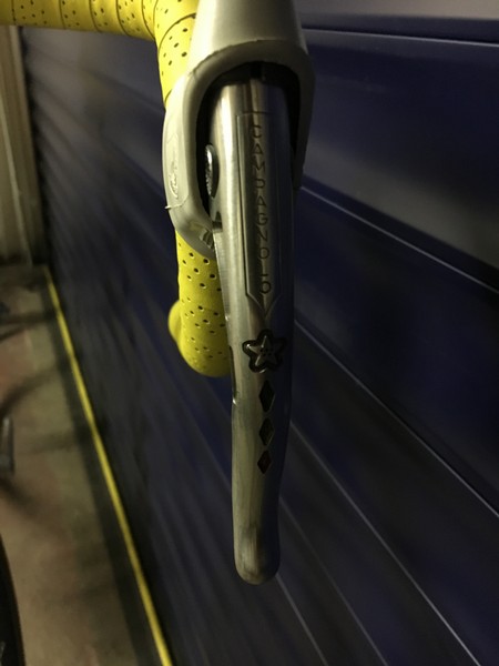 Olmo detail 6