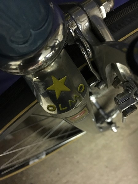 Olmo detail 8